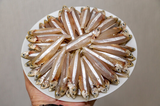 Raw fish,A manjuba, pititinga, ginga or manjubinha (Anchoviella lepidentostole), tropical freshwater fish. In details