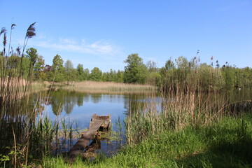 Einer der Mei&szlig;endorfer Teiche bei Winsen/Aller