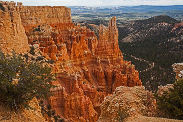 Bryce Canyon Vista 2534