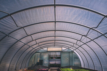 Folienhaus, Gew&auml;chshaus, Stadtg&auml;rtnerei, Ockershausen, Marburg 