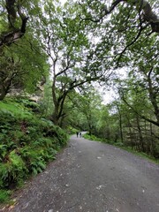 Fototapeta premium Long footpath in the montain