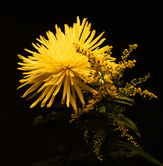 flowers, macro, plants, decoration