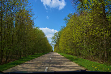 road in the park