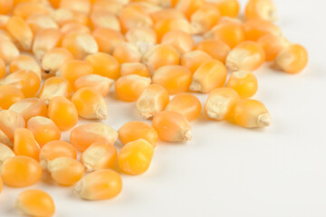 Maíz para palomitas sobre fondo blanco