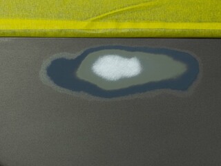 car surface before applying paints and varnishes.