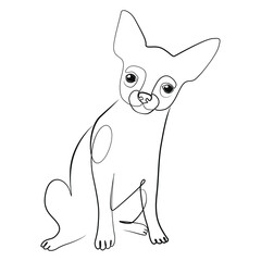 Chihuahua dog one line drawing on white isolated background 