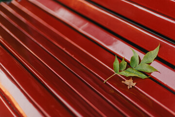  green leaf on red bench background