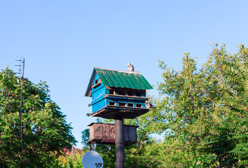 Dovecote in the village . Wooden home for birds