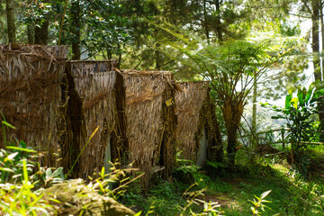 a hut with brown thatched as a roof
