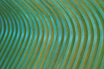 Wooden curved green slats. Abstract creative background. Glare of the sun on the surface. Building facade element.