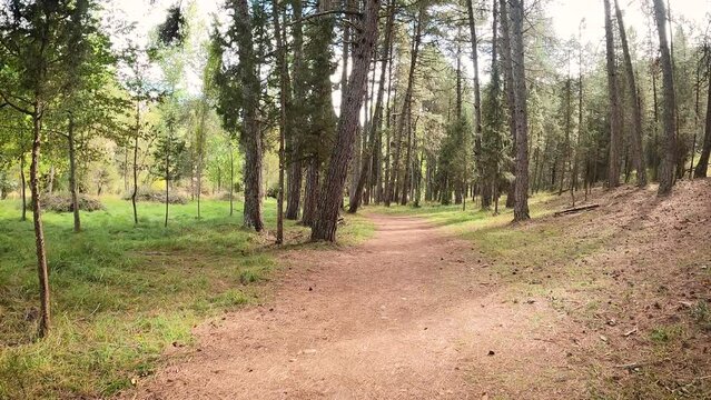 Senda del Rio pedestrian path next to the hermitage of san bartolom&eacute; at Ca&ntilde;on Del Rio Lobos Natural Park, province of Soria, Castile and Leon, Spain