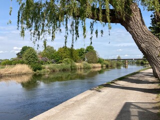 Fußweg am Fluss Aller in Verden