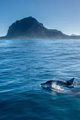 Deurstickers Le Morne, Mauritius Spinner dolfijn in de buurt van Le Morne, Mauritius