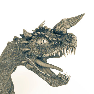 stone dragon id profile picture