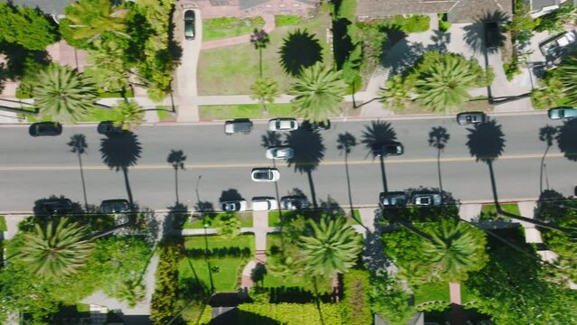 Gorgeous scenery of lush palm trees along beautiful street in residential area with high end property. Drone overhead shot of vehicles driving across Beverly Hills Boulevard. High quality 4k footage
