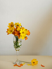 yellow flowers in vase
