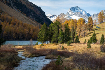 Fototapeta na wymiar Wanderung in den Schweizer Alpen im Herbst