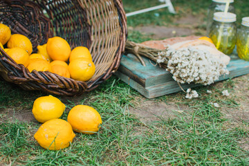 lemons in a basket on the grass