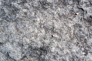 Stone texture. White with holes. Top view. Closeup