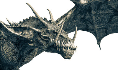 master dragon close up on the head © DM7