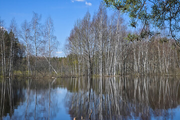 Spring in the national park.