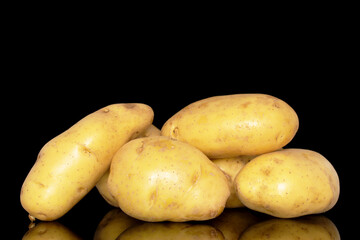 Several raw organic potatoes, close-up, isolated on a black background.