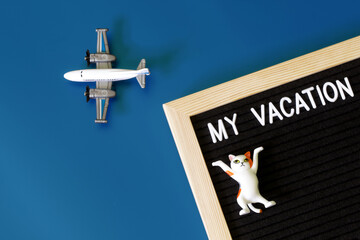 Funny toy dancing kitten on a board made of felt with the inscription my vacation and next to a toy...