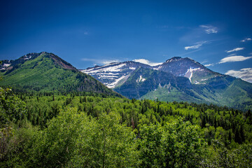 landscape in the mountains