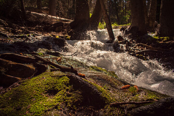 waterfall in the forest