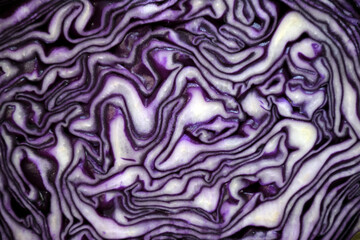 Obraz premium Background of purple cabbage in a section close-up for the whole frame
