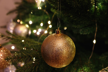 Beautiful Christmas ball hanging on fir tree branch, closeup