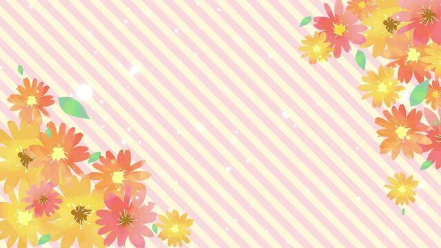 花束と光輝く背景動画　ピンク色のストライプがループ　春穏やかなイメージ