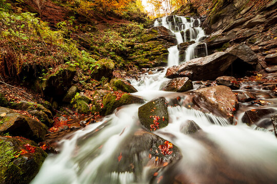 Ukpaine. Waterfall among the mossy rocks. Beautiful landscape rapids on a mountains river in autumn forest in carpathian mountains at sunset. Silver stream in National park Shypit Carpat. Pilipets.