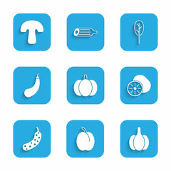 Set Pumpkin, Plum fruit, Garlic, Kiwi, Fresh cucumber, Eggplant, Spinach and Mushroom icon. Vector