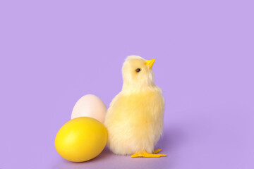 Cute chicken and Easter eggs on lilac background