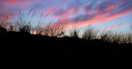 Beach Grass Sunset at the Cape Cod National Seashore