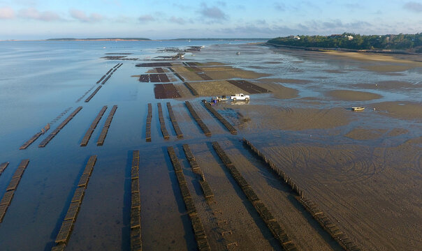 Wellfleet, Cape Cod Oyster Farm Aquaculture Aerial