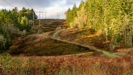 Sticks and Wires