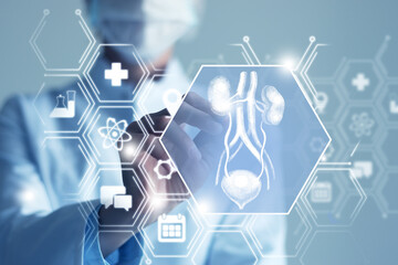 Unrecognizable female doctor holding graphic virtual visualization model of Bladder and Kidneys...