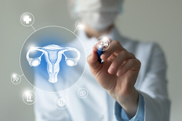 Unrecognizable female doctor holding graphic virtual visualization model of Uterus organ in hands....