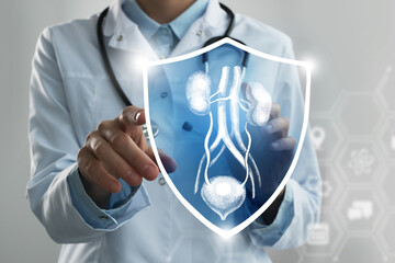 Unrecognizable female doctor holding shield and graphic virtual visualization of Bladder and...