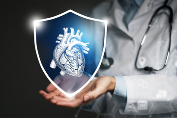 Unrecognizable female doctor holding shield and graphic virtual visualization of  Heart organ in...