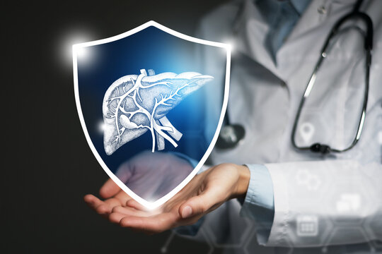 Unrecognizable female doctor holding shield and graphic virtual visualization of Liver organ in hands.