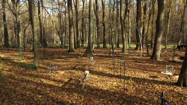 Science station scientific measurement of respiration tree trunk floodplain forest carbon dioxide, co2 global change, climate change, temperature research, modern methods, technology tower gas