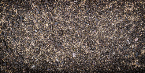 Photograph of Kentucky Blue Grass seed spread over topsoil