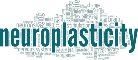 Neuroplasticity word cloud conceptual design isolated on white background.