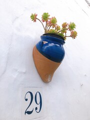 [Spain] Brown and blue potted plant hung on a white wall (Frigiliana)