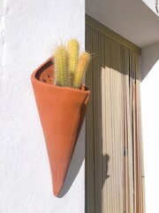 [Spain] Cactus in brown potted plant hanging on a white wall (Frigiliana)
