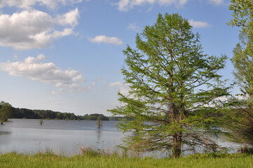 To Be Alone With Nature