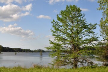 A Quiet Place To Reflect